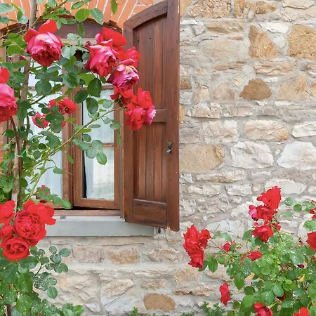 La Cipressaia * Greve in Chianti